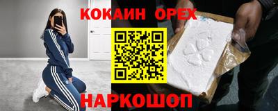 стафф Гусев