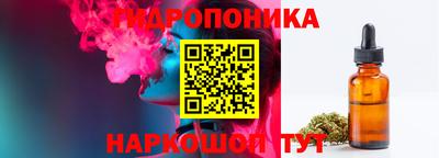 стафф Гусев