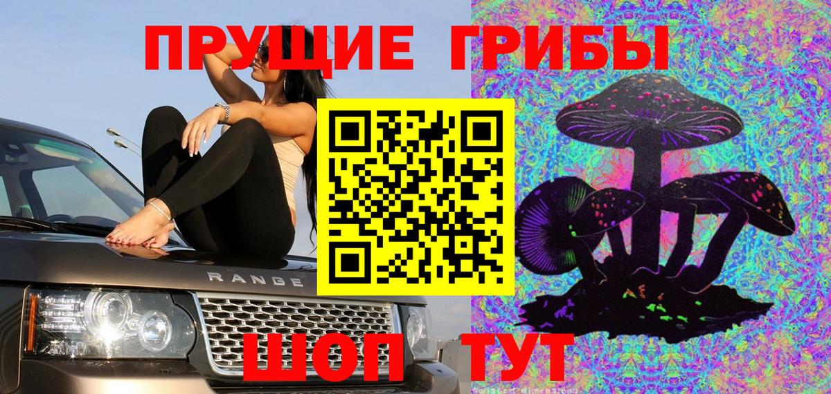 Псилоцибиновые грибы мицелий Ишимбай